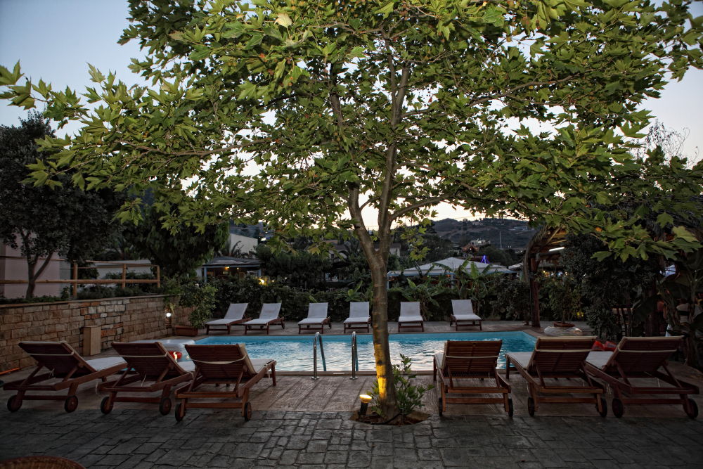Niriides Beach Hotel 罗希姆诺 设施 照片